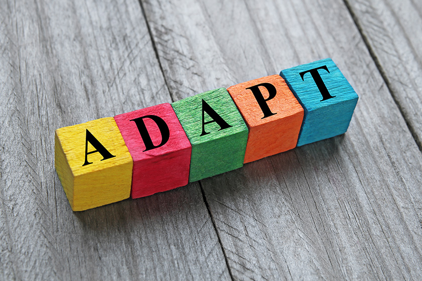 Adapt or Get Sidelined — The International School of Macao: 澳門國際學校